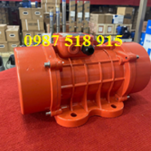 MOTOR RUNG TAIWAN
